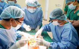 Thực hiện thành công ca ghép thận từ người mẹ cho con trai