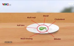 Thực hư công dụng mật cá trắm