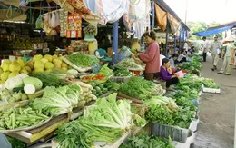 Phòng bệnh truyền qua thực phẩm do ký sinh trùng trong mùa hè