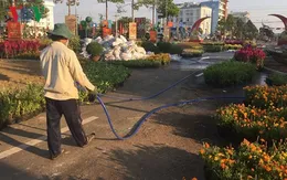 Lần đầu tiên có đường hoa xuân tiền tỷ ở Bình Phước