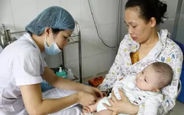 Hà Nội: Cảnh báo các dịch bệnh mùa xuân hè gia tăng