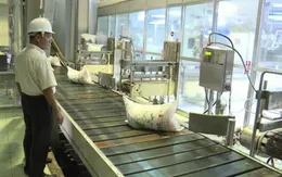 Phú Yên tồn đọng hơn 70.000 tấn đường