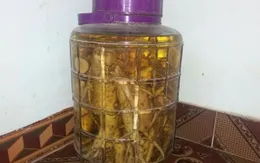 6 người ngộ độc sau khi uống rượu ngâm