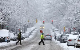 Bão tuyết gây đảo lộn cuộc sống ở Đông Bắc nước Mỹ