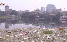 Chất lượng nguồn nước mặt suy thoái ngày càng nghiêm trọng