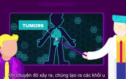 Những sự thật về ung thư bạn chưa biết