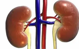 Cách phát hiện suy thận mạn ở trẻ?