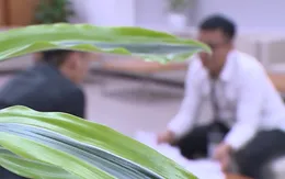 Nguy cơ biến chứng vô sinh khi điều trị tại phòng khám tư