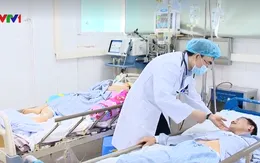 Nhiều bệnh nhân nguy kịch vì nhiễm liên cầu khuẩn lợn