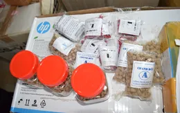 Tịch thu hơn 300.000 viên đông dược trị tiểu đường không rõ nguồn gốc