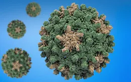 Báo động tình trạng bệnh nhân nhiễm virus viêm gan B không được điều trị