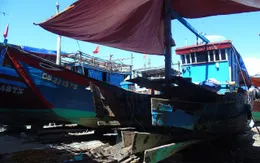 Quảng Bình hỗ trợ hơn 77 tỷ đồng cho các chủ tàu cá công suất lớn