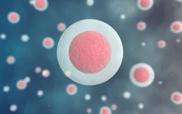 Liệu pháp gen sử dụng tế bào gốc tạo máu trong điều trị HIV/AIDS