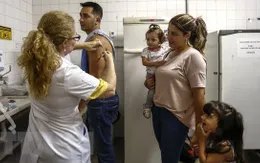 Brazil phát hiện 8 đột biến gene của virus sốt vàng da