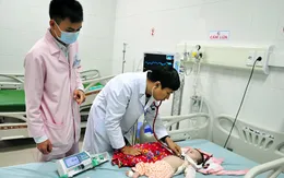 Triệu chứng sốt xuất huyết, nguyên nhân và cách điều trị bệnh ở trẻ nhỏ