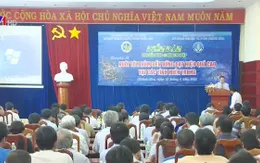 Nghề nuôi tôm hùm cần quản lý và phát triển bền vững