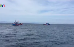 Bắt giữ tàu cá đánh bắt bằng xung điện