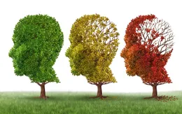 Thiếu ngủ làm tăng nguy cơ bệnh Alzheimer