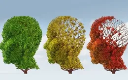 Hay quên là có phải là dấu hiệu của người thông minh?