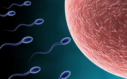 Có 9 đứa con mới ngỡ ngàng biết mình bị... vô sinh trước khi cưới vợ