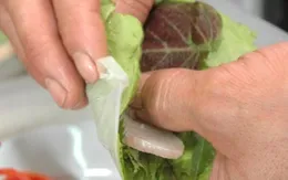 Nguy cơ mắc sán lá gan từ thói quen ăn đồ sống