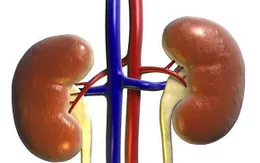 Điều trị ung thư thận thế nào?