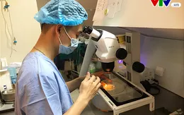 Phụ nữ chiếm 50% trong tất cả các nguyên nhân vô sinh