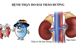 Mối liên hệ hai chiều giữa bệnh thận và đái tháo đường