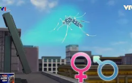 Radar siêu chính xác có thể phát hiện được muỗi