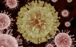 Virus Zika có thể giúp cứu sống bệnh nhi u não