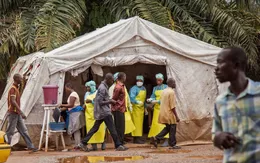 Cảnh báo nguy cơ tái bùng phát dịch bệnh Ebola tại CHDC Congo