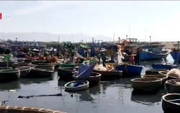 Bình Thuận: Hiểm nguy rình rập từ việc hoán cải thuyền thúng