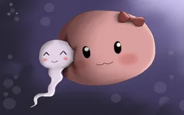Các biện pháp ngừa thai tự nhiên