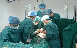 Nghệ An: Giảm tối thiểu 45% biên chế sự nghiệp y tế hưởng lương từ ngân sách