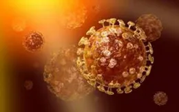 Đường ruột có thể là nguồn lây nhiễm virus MERS-CoV