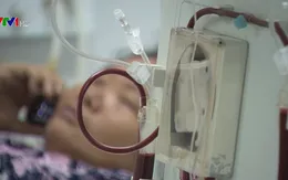 Nhiều rủi ro khi mua bán nội tạng