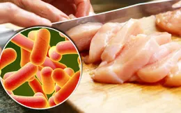 Nhiễm salmonella từ thực phẩm, cách phòng chống