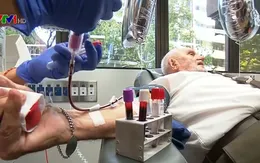 10 vấn đề về hiến máu nhân đạo