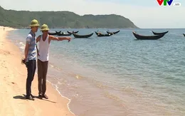 Bộ Y tế:  Hải sản 4 tỉnh miền trung đã đảm bảo an toàn