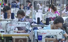 Nhiều hộ dân, DN chủ động tiết kiệm điện khi vào hè