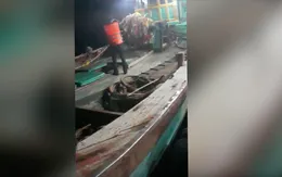 Bắt 2 tàu cá sang mạn dầu DO trái phép trên biển Côn Đảo