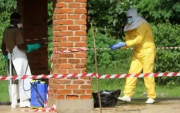 Số ca tử vong và nhiễm virus Ebola tại CHDC Congo gia tăng