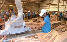 Lâm sản đứng đầu các mặt hàng nông sản xuất khẩu