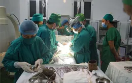 Cứu sống bệnh nhân bị thanh sắt chọc từ nếp bẹn xuyên ổ bụng