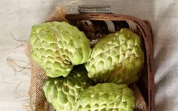 Lý do nên ăn một quả na mỗi ngày