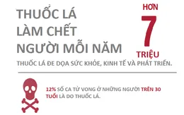 Quảng Trị : Mít tinh hưởng ứng Ngày Thế giới không thuốc lá