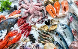 Hải sản có phải thần dược để thụ thai?