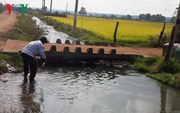 Rủ nhau tắm mương, một học sinh lớp 4 chết đuối thương tâm