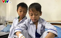 Hơn 12 triệu người Việt mang gen bệnh Thalassemia