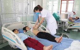 Quảng Ninh: 5 người trong một gia đình bị ngộ độc nấm